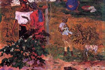 Tropical Conversation