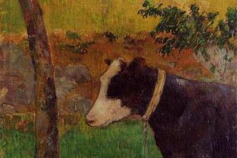 Kneeling cow