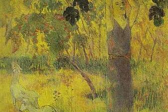 Man Picking Fruit from a Tree