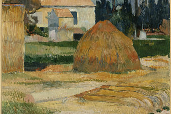 Landscape near Arles