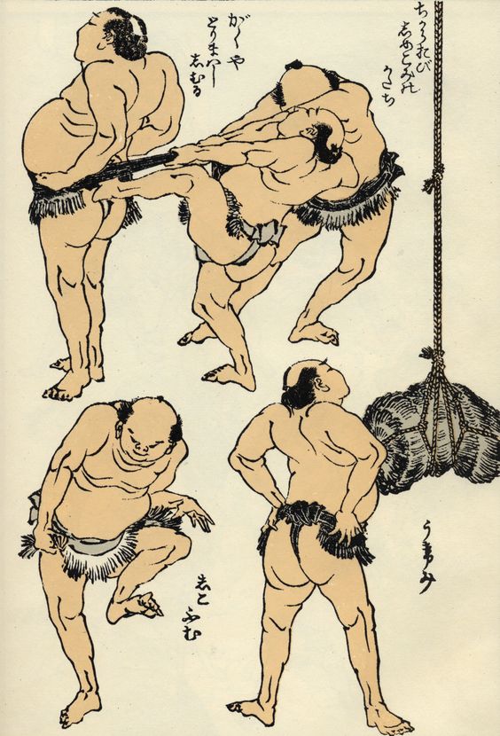 Sumo Wrestlers 