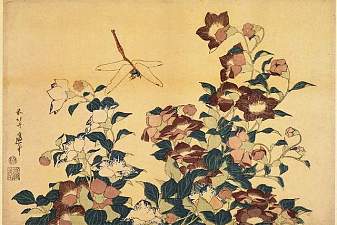 Bluebells and Dragonflies