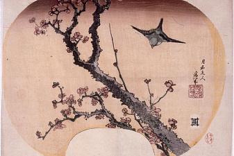 Cherry Blossoms and Warbler