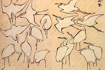 Cranes from Quick Lessons in Simplified Drawing