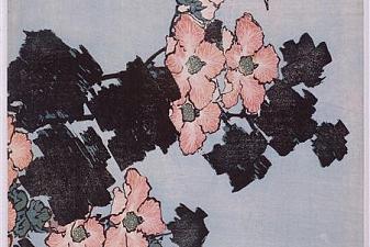 Hibiscus and Sparrow