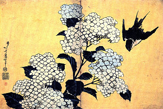Hydrangea and Swallow