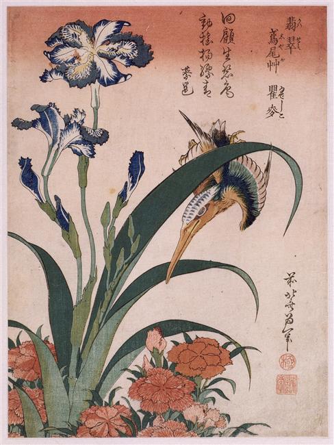 Kingfisher, carnation, iris 