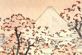 Mount Fuji seen throught cherry blossom