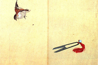 Pair of sissors and sparrow