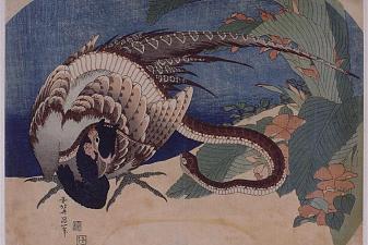 Pheasant and Snake