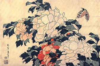 Poenies and butterfly