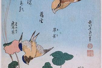 Swallow and begonia and strawberry pie