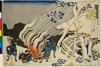 Cushion Pine at Aoyama