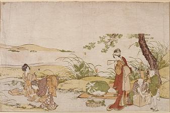 The harvesting of mushrooms