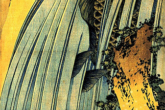 Two carp in a cascade