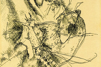 Drawing for Etching II