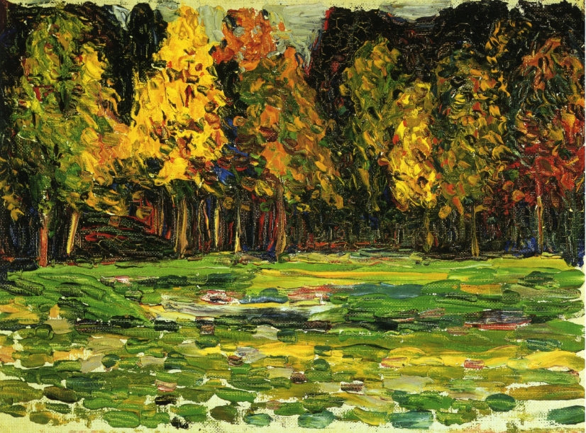Forest edge 