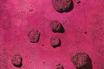 The Pink of Blue (RE 22)