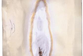 Untitled Color Fire Painting