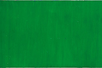 Untitled Green Monochrome