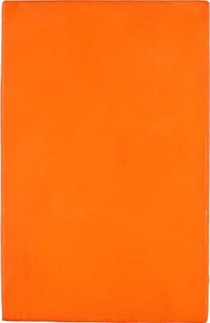 Untitled Orange Monochrome 