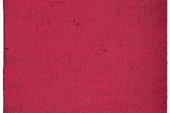 Untitled Pink Monochrome