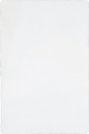 Untitled White Monochrome