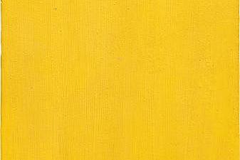 Untitled Yellow Monochrome