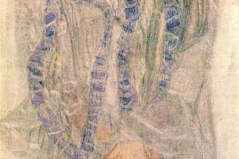 Portrait of Gertha Felssovanyi