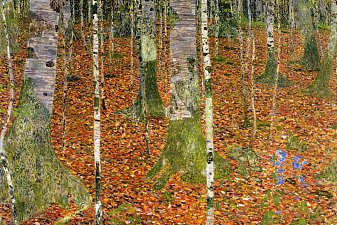 Birch Forest
