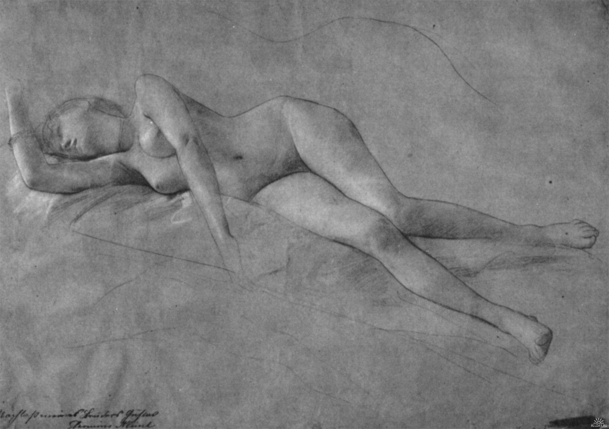Female Nude 