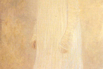 Portrait of Serena Lederer