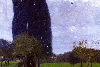 The Tall Poplar Trees II