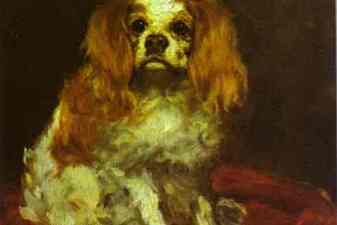 A King Charles Spaniel