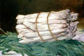 Bundle of Asparagus
