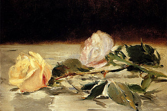 Two roses on a tablecloth
