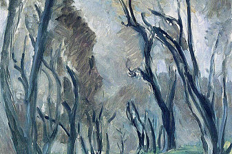 Avenue of Olive Trees