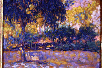 Landscape with eucalyptus trees and river. Trees in front of a river