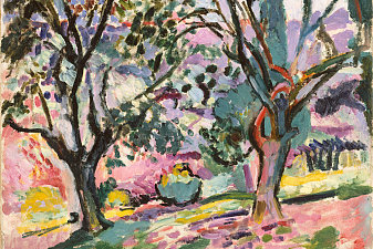 Olive Trees at Collioure