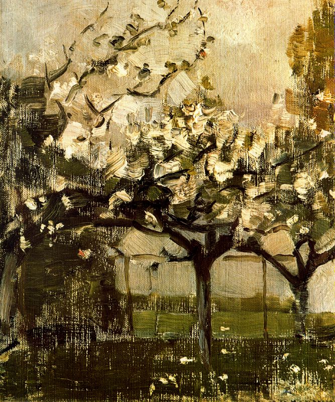 Alberi 