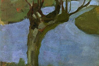 Irrigation Ditch with Mature Willow