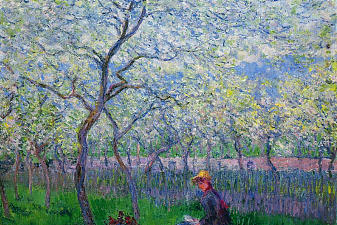 An Orchard in Spring