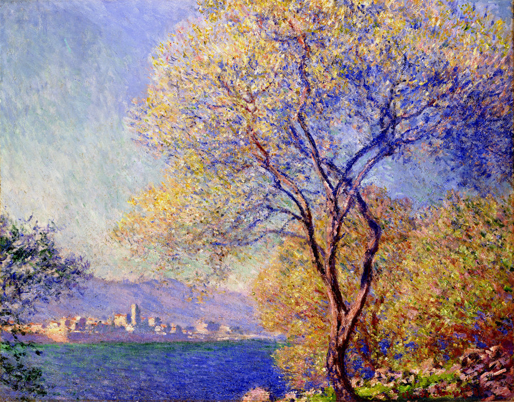 Antibes Seen from the Salis Gardens 01 