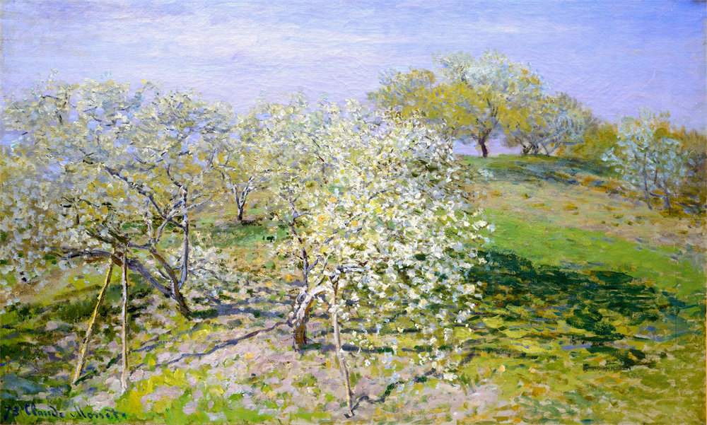 Apple Trees in Bloom 
