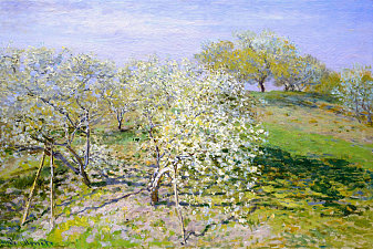 Apple Trees in Bloom