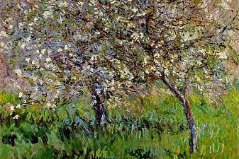 Apple Trees in Bloom at Giverny
