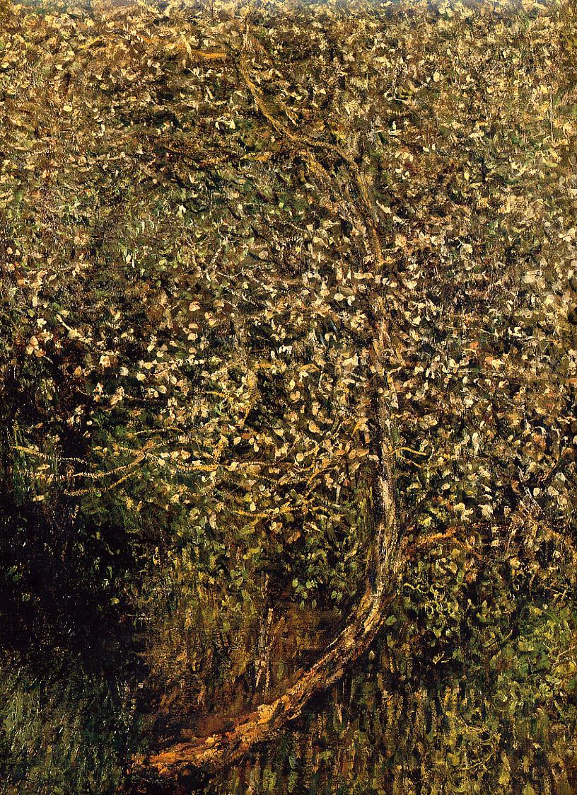 Apple Trees in Blossom by the Water 