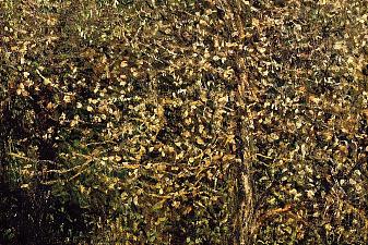 Apple Trees in Blossom by the Water