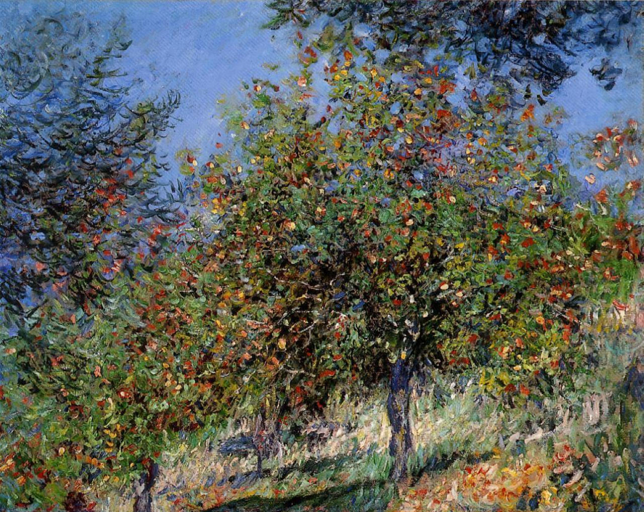 Apple Trees on the Chantemesle Hill 