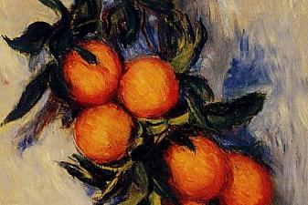 Branch of Orange Bearing Fruit